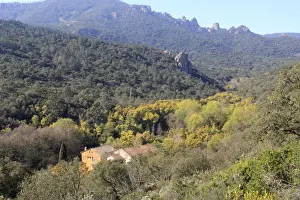 Alpes Prints: Mediterranean landscape. Adrets de l'Esterel - Alpes maritimes - France