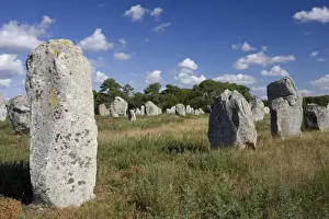 Neolithic Prints: Megalithic aignements de Kermario