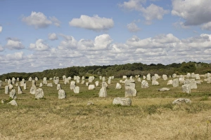 Images Dated 18th September 2007: Megalithic alignements du Petit Menec prehistoric standing stones