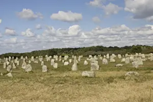Neolithic Prints: Megalithic alignements du Petit Menec prehistoric standing stones Carnac, Brittany France