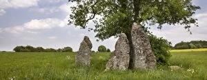 Megalithic Tomb - Dolmen - Weris - Belgium