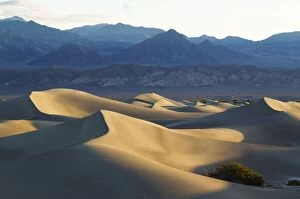 Images Dated 26th March 2011: Mesquite Flat Sand Dunes and Amargosa Range in