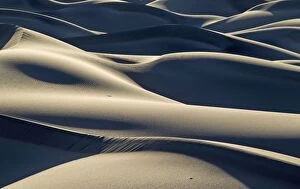 Images Dated 26th March 2011: Detail of the Mesquite Flat Sand Dunes in the Death Valley