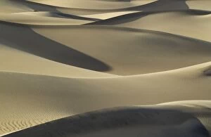 Images Dated 10th April 2011: Detail of the Mesquite Flat Sand Dunes in the evening
