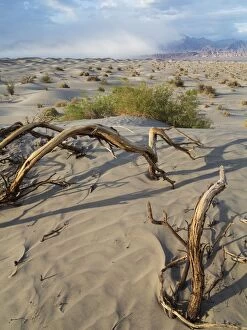 Images Dated 25th March 2012: Mesquite Flat Sand Dunes and Grapevine Mountains