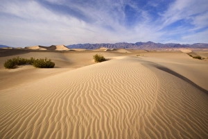 Images Dated 1st April 2009: Mesquite Flat Sand Dunes - the sand dunes of Mesquite Flat Dunes in late evening light