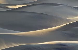 Images Dated 10th April 2011: Detail of the Mesquite Flat Sand Dunes at a windy