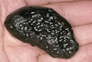 Images Dated 27th April 2007: Meteorite - Tektite, Indochinite