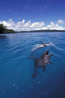 Micronesia, Palau, World Heritage Site