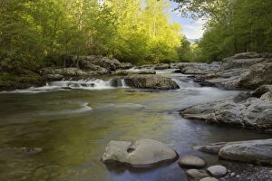 Images Dated 8th August 2011: Middle Fork of the Little Pigeon River