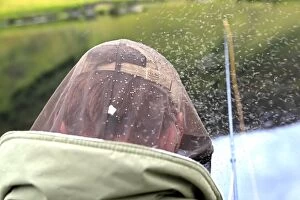 Images Dated 1st September 2010: Midges - attacking Fisherman