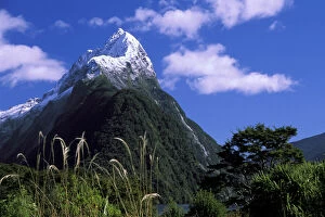 Images Dated 11th February 2010: Milford Sound, South Island, New Zealand