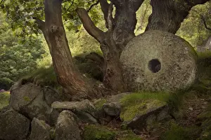 Past Prints: Millstone abandoned and never finished in Padley Gorge - September - Peak District - England