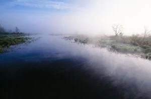 Images Dated 2nd June 2005: Mist - rising from river in White Memorial Foundation, early morning