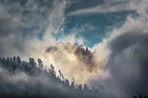 Mist Prints: Mist and sunlight in the mountains