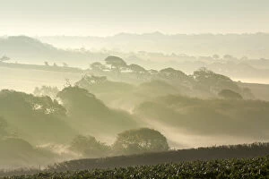 Misty Morning - Leedstown - Hayle Valley - Cornwall - UK