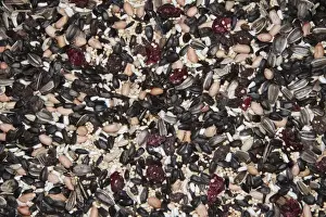Peanut Prints: Mixed seed for bird feeding. Sunflower