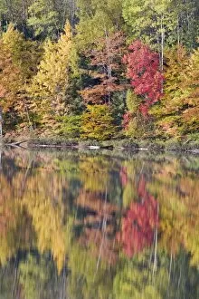 Images Dated 17th October 2009: Moccassin Lake with Autumn Colours of Maples Reflected Upper Penninsular Michigan, USA LA004466
