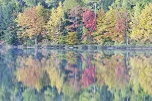 Images Dated 17th October 2009: Moccassin Lake with Autumn Colours of Maples Reflected Upper Penninsular Michigan, USA LA004464
