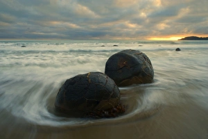 Moeraki Boulders - massive spherical rocks at dawn surrounded by water of incoming tide