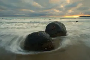 Moeraki Boulders massive spherical rocks at dawn surrounded by water of incoming tide Coastal Otago, South Island, New Zealand