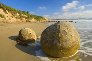 Images Dated 25th January 2008: Moeraki Boulders - massive spherical rocks which look like dinosaur eggs at the beach