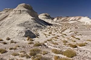 Badland Gallery: Mojave Desert, dry saline badland hills