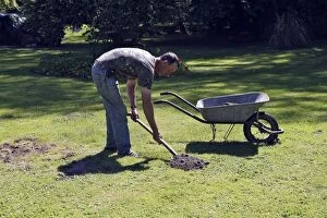 Molehills - man removing molehills from lawn