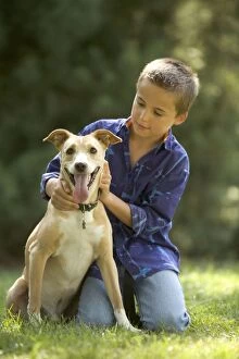 Images Dated 14th July 2005: Mongrel Dog - with young boy