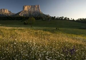 Images Dated 3rd June 2005: Mont Aiguille at dawn, with hay meadow. Limestone peak in Vercors, east France