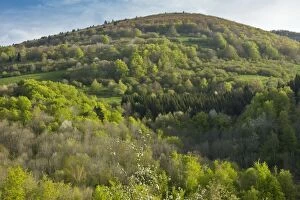 Montagne de la Frau wooded slopes in spring eastern