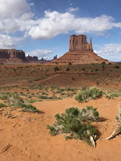 Images Dated 24th April 2007: Monument Valley, Arizona, USA
