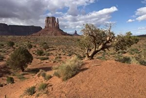 Images Dated 24th April 2007: Monument Valley, Arizona, USA