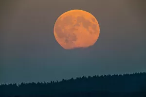 Images Dated 9th August 2020: Full Moon - rising above forest, Lower Saxony, Germany