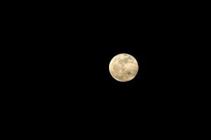 Images Dated 20th May 2008: Full moon rising at Grand Bahama Island, Bahamas