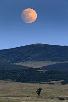 Full Moon - rising above hills Castro Verde, Alentejo