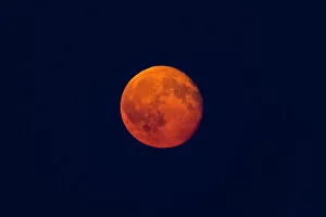 Images Dated 9th August 2020: Full Moon - rising above horizon, coloured orange and red, Lower Saxony, Germany
