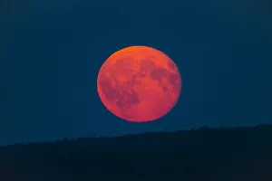 Images Dated 10th August 2020: Full Moon - rising above horizon, coloured orange and red, Lower Saxony, Germany