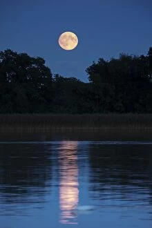 Full Moonrise over Hickling Broad, Norfolk UK