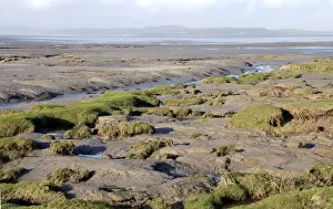 Mudflat Prints: Morecombe Bay, Tidal sand and mud flats