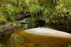 Images Dated 21st February 2008: Moria Gate Arch and picturesque Oparara river located amidst lush