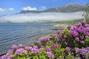 Morning fog over Loch Torridon - and Torridon mountains in spring with blooming rhododendron along the coastline