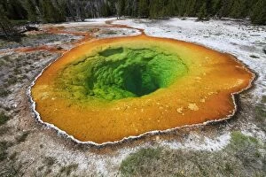 Images Dated 8th June 2013: Morning Glory Pool Upper Geyser Basin, Yellowstone