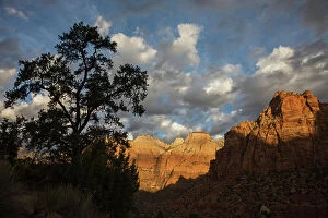 Storm Gallery: Morning light, Zion National Park