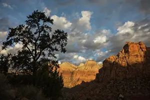 Morning light, Zion National Park Date: 18-11-2020