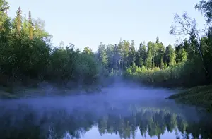 Taiga Prints: Morning mist over river Negustyah (typical Siberian river)