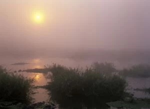 Morning mist - sunrise over Sabie river with morning mist and reflection