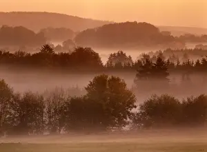 Inspiring Prints: Morning mood scenery on a foggy morning in autumn Baden-Wuerttemberg, Germany