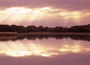 Images Dated 8th March 2007: Morning mood sun beams breaking through clouds at a lake with reflection Mount Etjo, Namibia, Africa