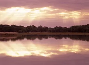 Sympathy Prints: Morning mood sun beams breaking through clouds at a lake with reflection Mount Etjo